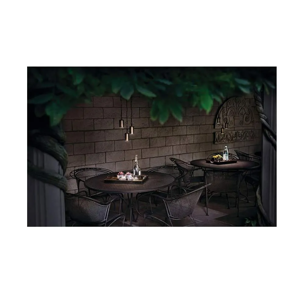 12V Outdoor Solid Pendant Light Centennial Brass