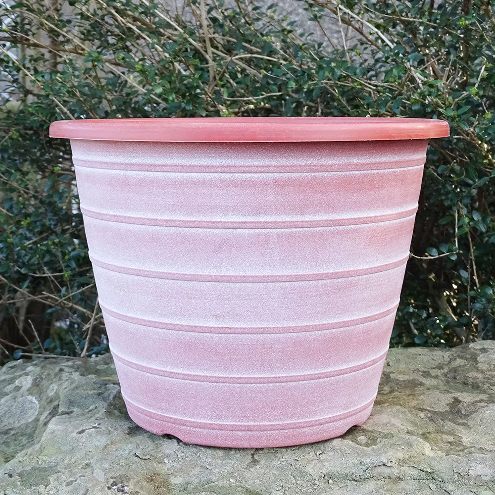 30cm Olympia Terracotta/White Plant Pot