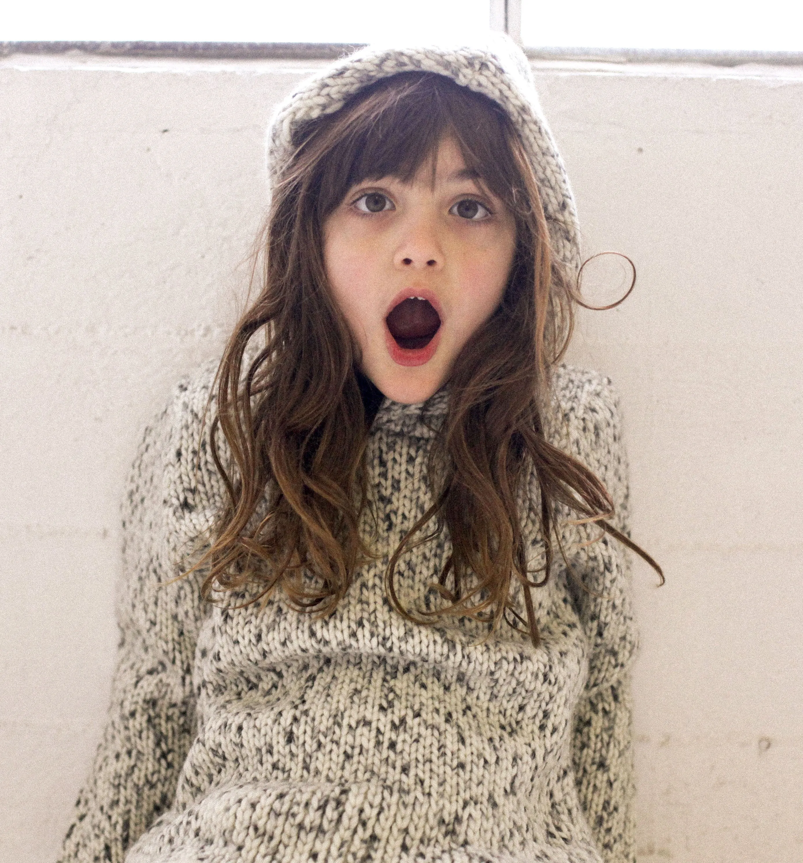 Alva Hoody Sweater
