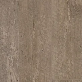 COREtec - Plus Enhanced 7" - Nares Oak