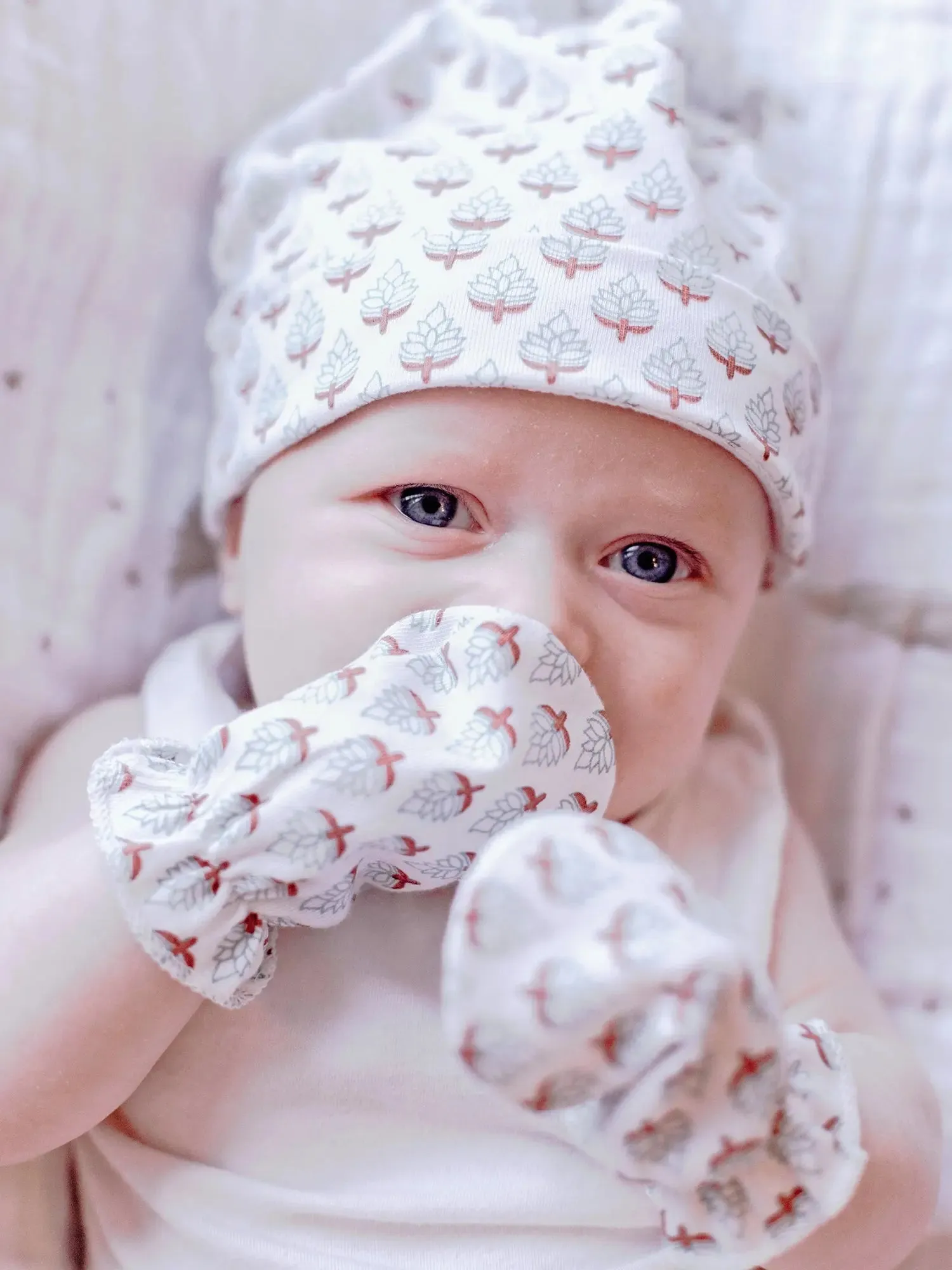 Cozy Comforts 100 Day Gift Set
