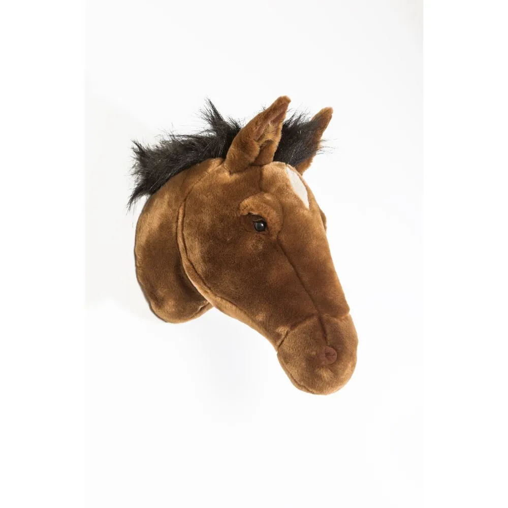 Scarlett the brown horse