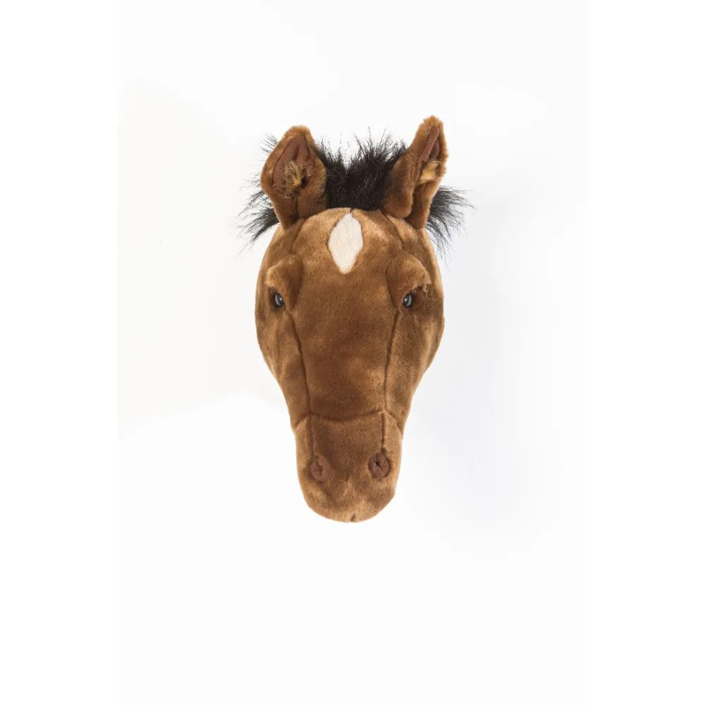 Scarlett the brown horse