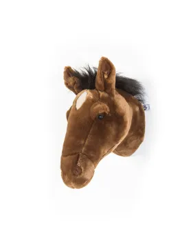 Scarlett the brown horse